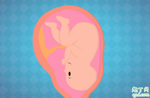 胎兒抖動是在干什么 胎兒抖動是不是缺氧4